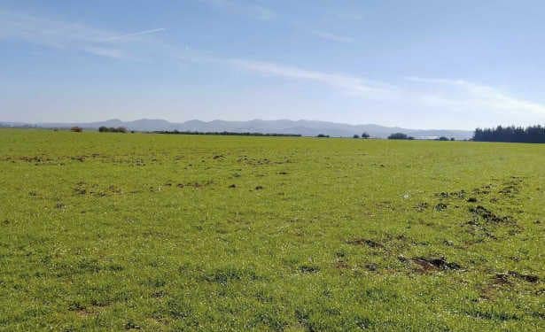 Tunisie : Récupération de lots de terrains domaniaux agricoles sur une superficie de 10 hectares à Manouba