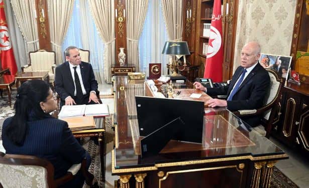 Tunisie :Tunisie : La mise en place d’un office du développement du Sud et du Sahara au cœur  d’une rencontre à Carthage
