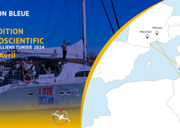 La Saison Bleue reçoit l&rsquo;expédition Oceano Scientific Récifs Coralliens Tunisie 2024
