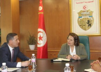 Tunisie : Promouvoir la Tunis à devenir un pôle régional et mondial de fabrication de composants automobiles 