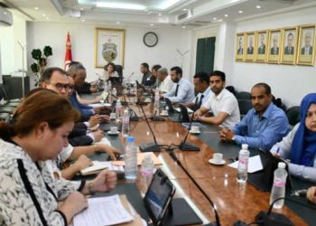 Tunisie : La ministre de l’Industrie appelle les entreprises à s’engager dans des programmes de décarbonisation  et une industrie intelligente