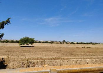 Tunisie : Récupération d’une terre agricole domaniale d’une superficie de 08 hectares à la Manouba