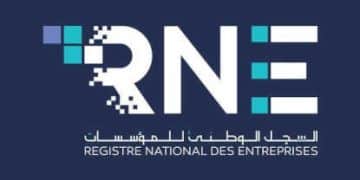 Tunisie : Le Registre Nationale des Entreprises RNE clarifie le dépôt des états financiers en ligne