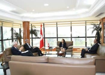 Tunisie : Renforcement de la Coopération tuniso-italienne dans le domaine des énergies renouvelables