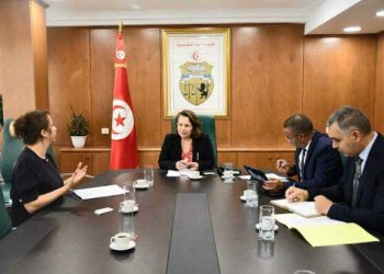 Tunisie : Optimiser les investissements dans le secteur des composants aéronautiques