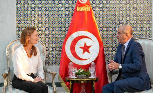 Tunisie : Le ministre des Affaires Etrangères reçoit l’ambassadrice de France en Tunisie