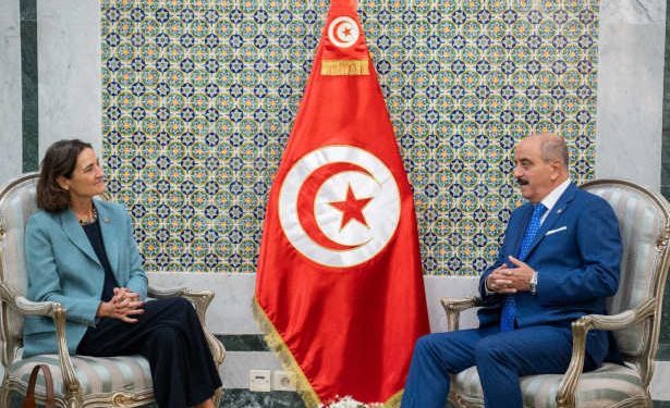 Tunisie : Le Ministre des Affaires Etrangères reçoit Mme Joséphine Frantzen, Ambassadrice du Royaume des Pays-Bas en Tunisie