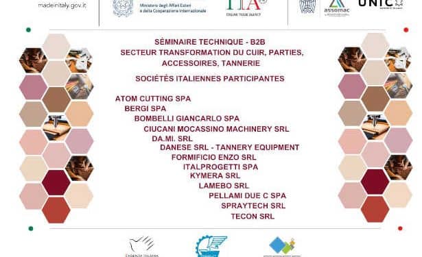 Tunisie: Le savoir-faire du cuir italien, au service des entreprises tunisiennes