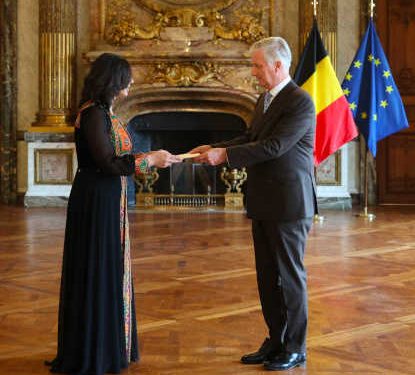 Belgique :Le roi Philippe reçoit les lettres de mission de la représentante de la Palestine en Belgique