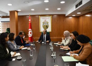 Tunisie :Investissement dans les énergies renouvelables dans le gouvernorat de Kairouan avec un projet d&rsquo;une capacité de 100 MW