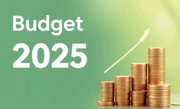 Tunisie: Publication du loi des Finances 2025 au JORT