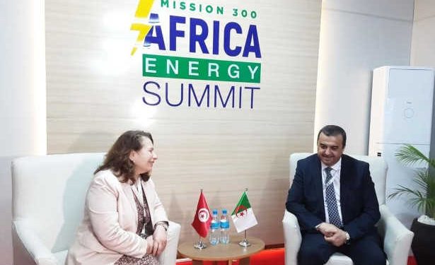 Tunisie :  La ministre de l&rsquo;industrie tient des réunions bilatérales en marge de la quatrième session du Sommet de l&rsquo;énergie en Tanzanie