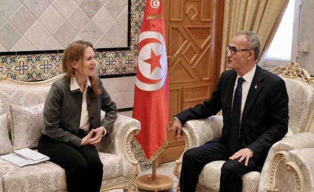 Tunisie : Le Secrétaire d&rsquo;État auprès du Ministre des Affaires étrangères reçoit Mme Anne Guéguen, ambassadrice de France en Tunisie