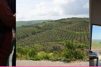 Tunisie :L’Institut français de Tunisie (IFT) lance un deuxième appel à candidatures à destination d’artistes visuels et de musiciens confirmés dans le cadre d’Elyssa, un fonds d’aide à la création et à l’entrepreneuriat culturel