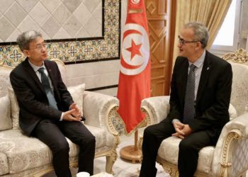 Tunisie-Chine : Suivi des projets de développement et du partenariat stratégique