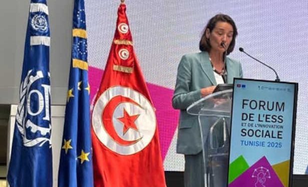 Tunisie-Pays Bas: L’emploi des jeunes, l’entrepreneuriat à impact et le développement durable dans le secteur agricole au cœur de la coopération néerlandaise en Tunisie