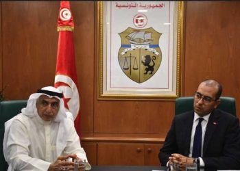 Tunisie : Renforcement de la Coopération entre la Tunisie et Fonds arabe pour le développement économique et social (FADES) pour soutenir la Transition Énergétique et le développement durable