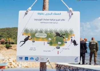 Tunisie : Un sentier sous-marin, le premier du genre en Tunisie, vient de voir le jour dans la baie de Melloula à Tabarka