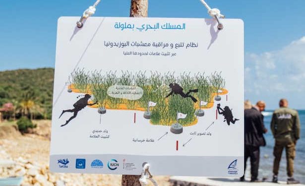 Tunisie : Un sentier sous-marin, le premier du genre en Tunisie, vient de voir le jour dans la baie de Melloula à Tabarka