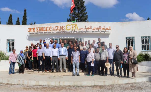 Tunisie : La FAO mise sur la lutte biologique pour une agriculture tunisienne durable et résiliente 