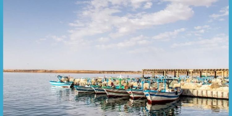 Tunisie-Belgique : Retour sur la Première visite de terrain au port de pêche de Boughrar
