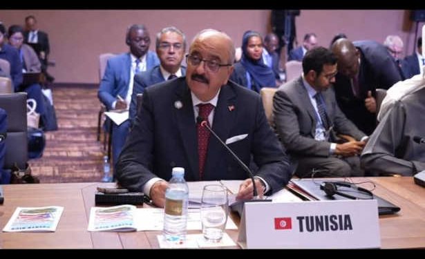 Vision de la Tunisie pour relever les défis politiques, économiques et de développement