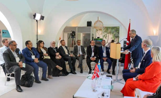 Tunisie : Développement de la coopération avec les pays nordiques dans le domaine des énergies renouvelables