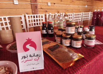 « Romena Tour à Testour » : La grenade au cœur d’une nouvelle offre touristique