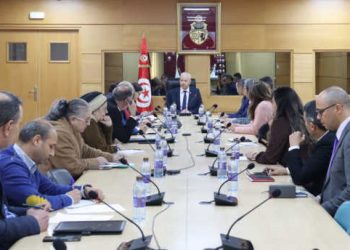 Tunisie : Suivi de l&rsquo;avancement des projets de numérisation