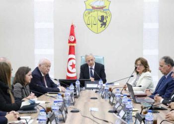 Tunisie : Renforcement de l&rsquo;approche « one health » entre la Tunisie et la Fondation Mérieux