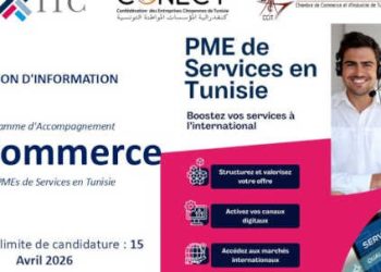 Appel à candidatures pour les PME tunisiennes du secteur des services – Programme Digital Trade and E-Commerce in the MENA Region