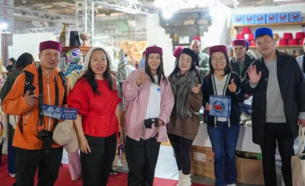 Délégation chinoise en visite promotionnelle en Tunisie