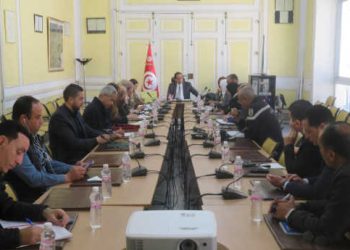 Retour des Tunisiens du golfe et Moyen-Orient : une cellule de veille régionale mise en place à Tunis