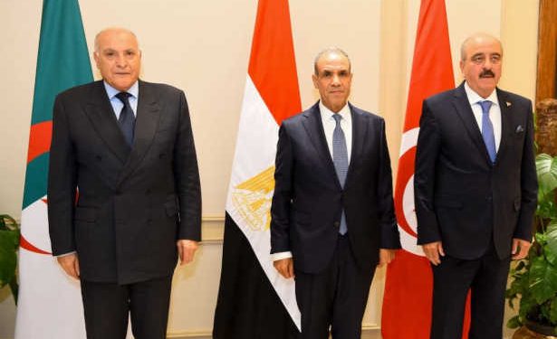 Déclaration finale de la réunion tripartite sur la crise libyenne au Caire
