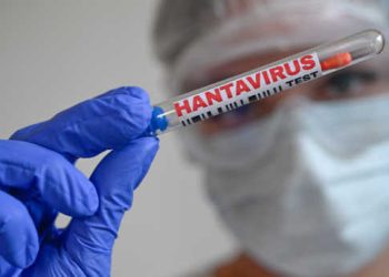 Hantavirus : un foyer international sur un navire, des cas confirmés en Europe et des inquiétudes sur la gestion des protocoles