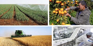IACE : Vers une vision stratégique pour la modernisation des circuits de distribution des produits agricoles en Tunisie
