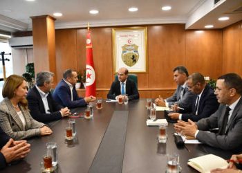 Industrie automobile : Visteon annonce des projets d’extension et de nouveaux emplois en Tunisie