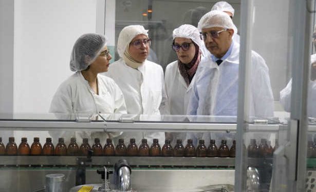 SIPHAT : une entreprise publique reprend son rythme de production après plusieurs années d’arrêt