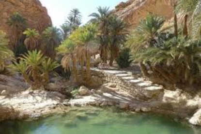 Tozeur : un financement de 45 millions de dinars pour sauver les oasis anciennes et renforcer leur résilience climatique