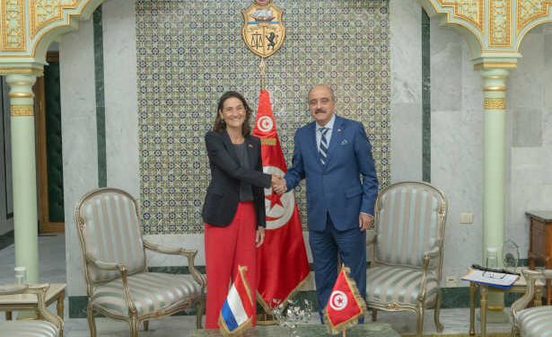 Tunisie – Pays-Bas : vers de nouveaux projets de coopération stratégiques
