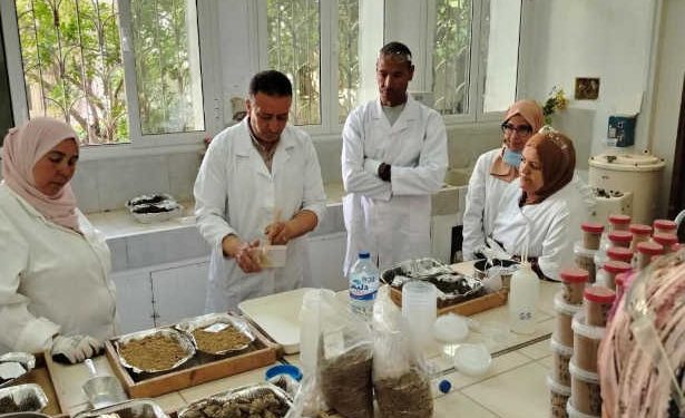 Le renforcement des capacités techniques des techniciens de laboratoires d’analyses de sols à l’échelle nationale pour une meilleure gestion des données et des ressources en sols