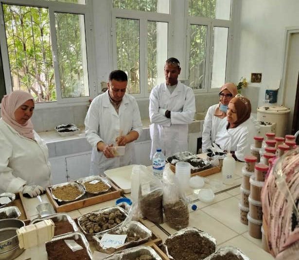 Le renforcement des capacités techniques des techniciens de laboratoires d’analyses de sols à l’échelle nationale pour une meilleure gestion des données et des ressources en sols