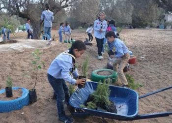 Les Scouts tunisiens lancent « Plantons l&rsquo;avenir », un projet pour planter 100 000 arbres
