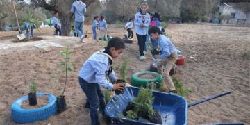 Les Scouts tunisiens lancent « Plantons l’avenir », un projet pour planter 100 000 arbres