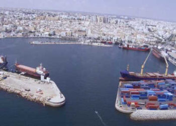 Export tunisien : 48 conteneurs de thon en route vers l’Europe !