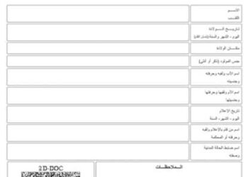 Tunisie: Une nouvelle plateforme pour obtenir son extrait de naissance à distance