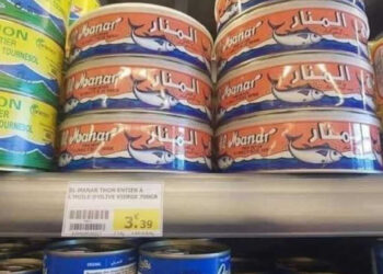 Thon tunisien : une société tchèque révèle l’immense potentiel d’exportation de la Tunisie