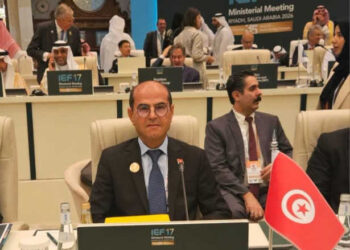 La Tunisie mise sur les partenariats et les énergies renouvelables