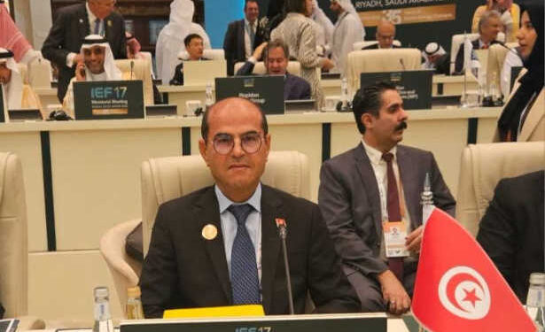 La Tunisie mise sur les partenariats et les énergies renouvelables