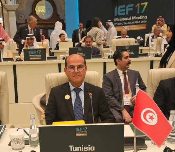 La Tunisie mise sur les partenariats et les énergies renouvelables
